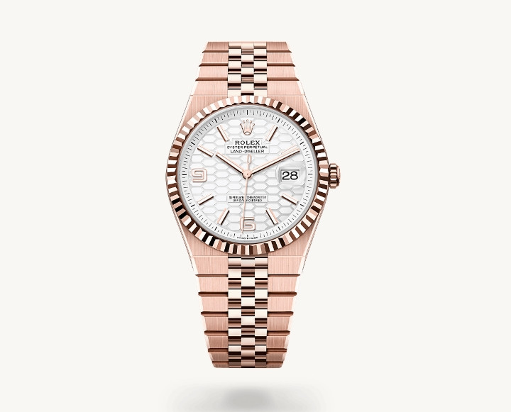 Rolex Land-Dweller 40 Everose Gold Oyster 40mm M127335-0001
